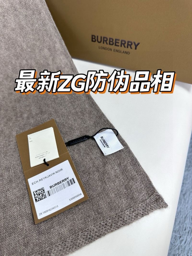 Burberry Scarf